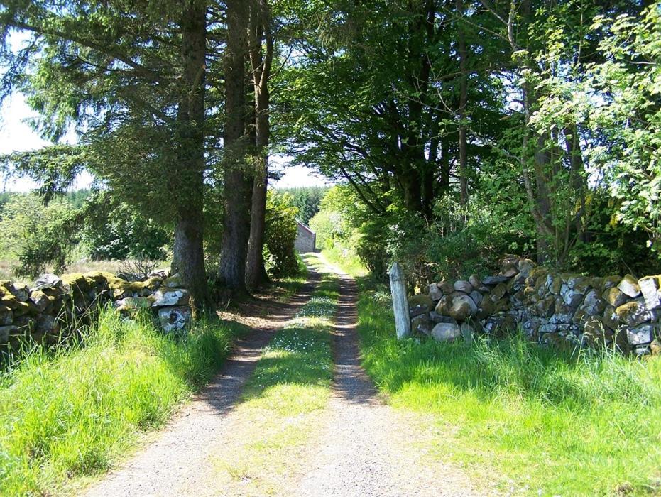 Ochiltree Cottage Newton Stewart Ngoại thất bức ảnh